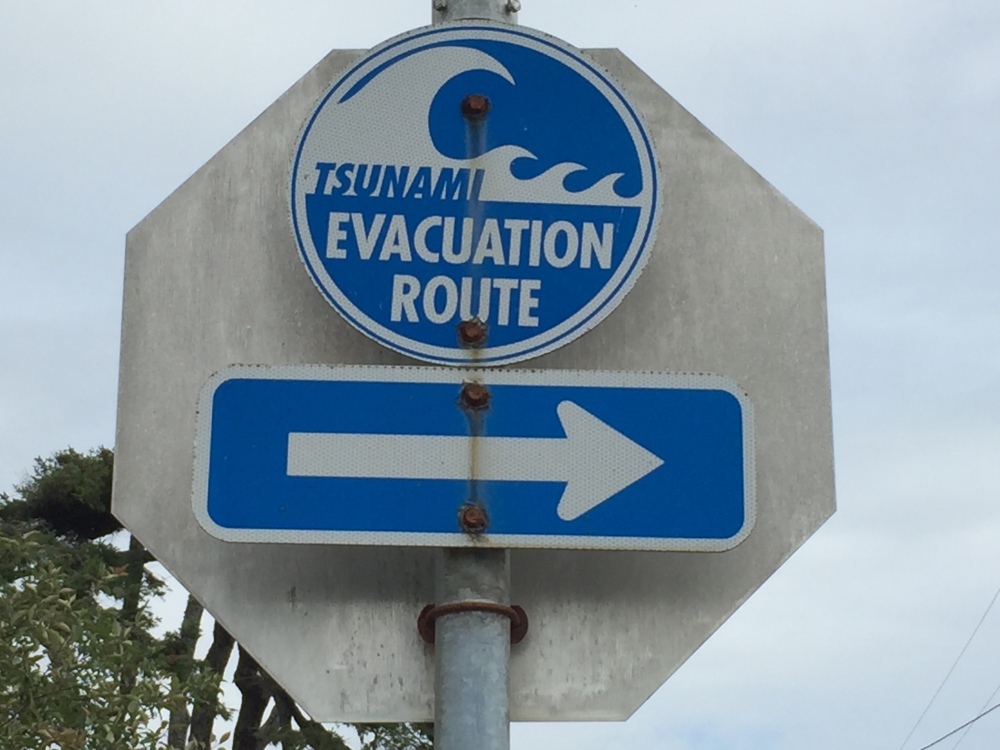 tsunami evacuation route